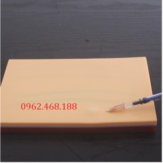 Mô hình tiêm tĩnh mạch