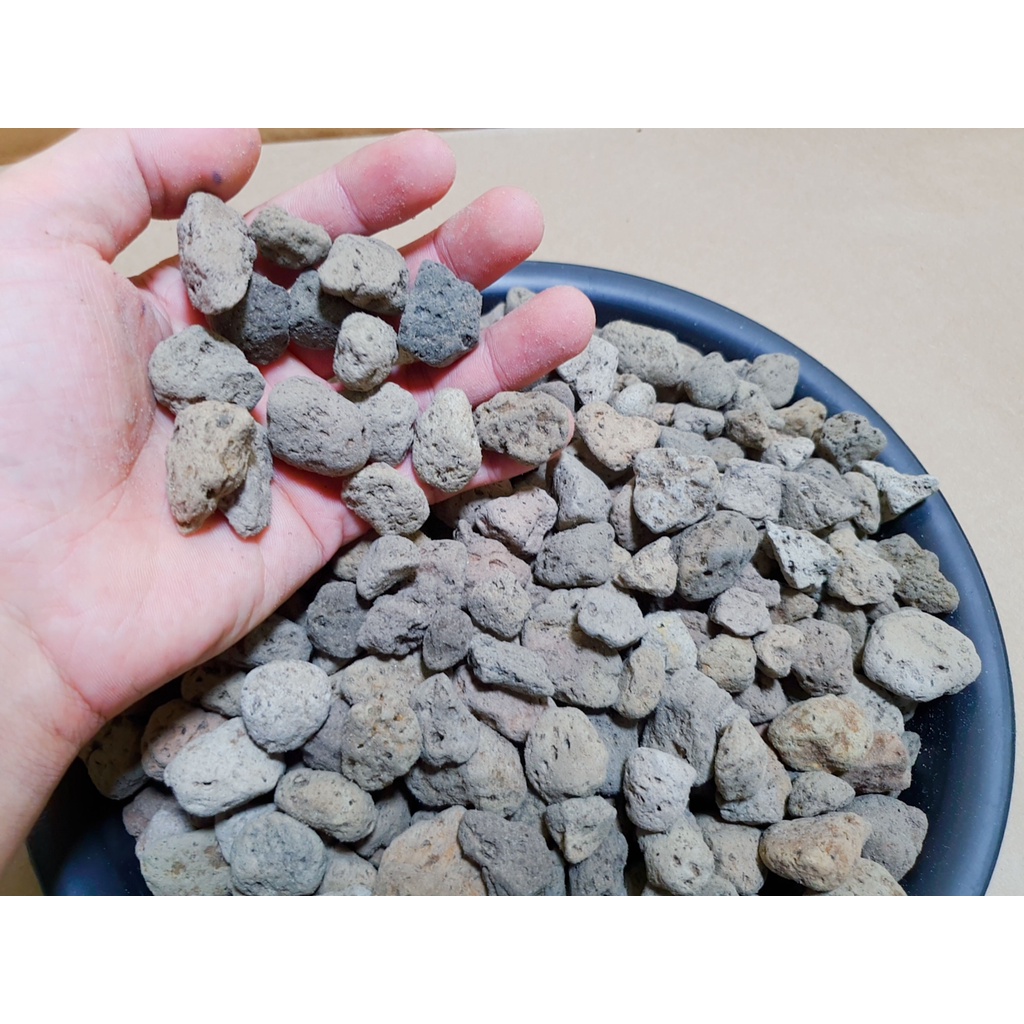 Đá Pumice Chiết Túi 1KG Size 1-2CM - Trồng Cây Sen Đá, Kiểng Lá, Xương Rồng, Phong Lan