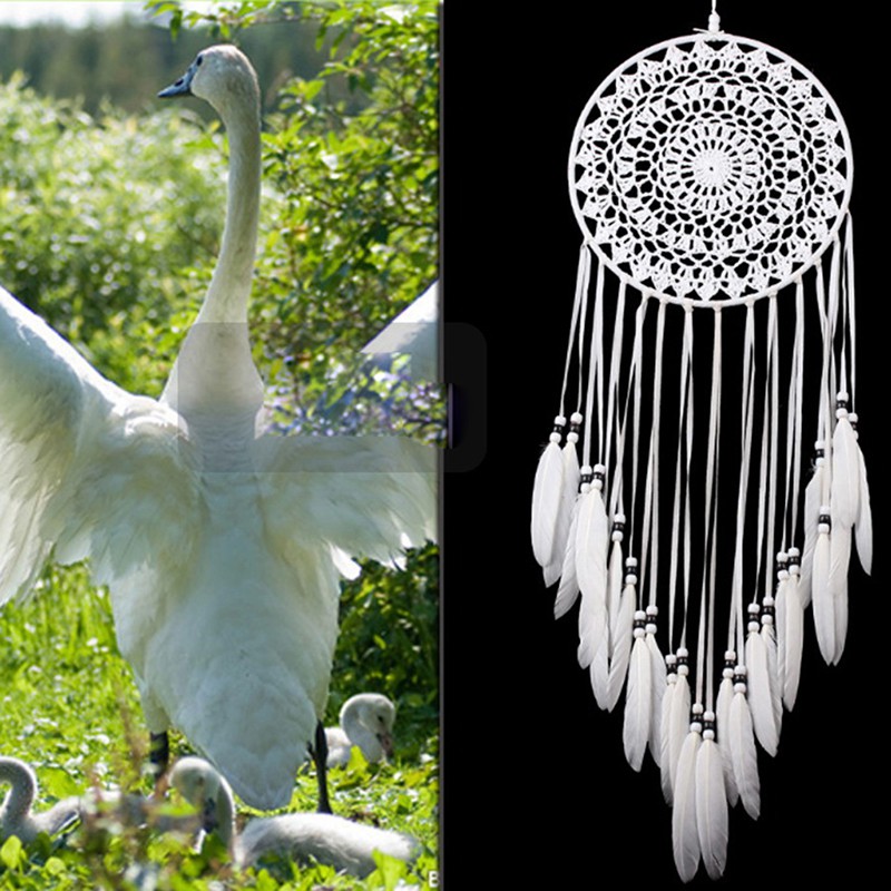 Dreamcatcher Trang Trí Nhà Cửa / Tiệc Tùng / Lý Tưởng
