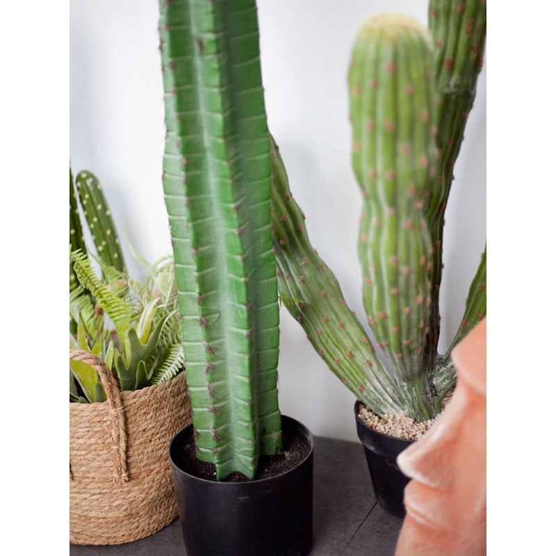 Cây xương rồng ba khía một nhánh giả bằng nhựa PP cao 100 cm - CC373 - Jassi Decor