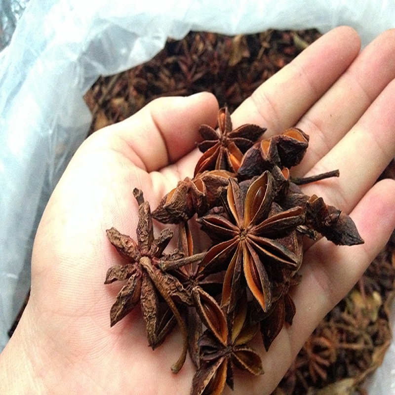 Hoa Hồi Khô Gia Vị 100g