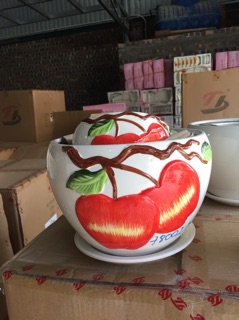Chậu hoa để bàn