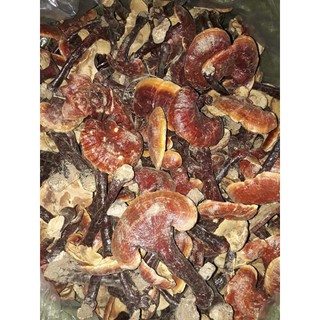 Nấm lim xanh Tây Bắc [500gr -1kg]