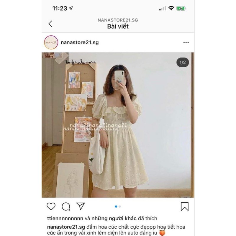 Đầm Nanastore21