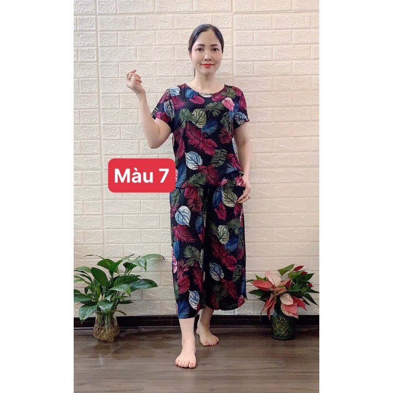 ❤️❤️BỘ LANH ĐẠI ỐNG SỚ ANH THƯ | BigBuy360 - bigbuy360.vn