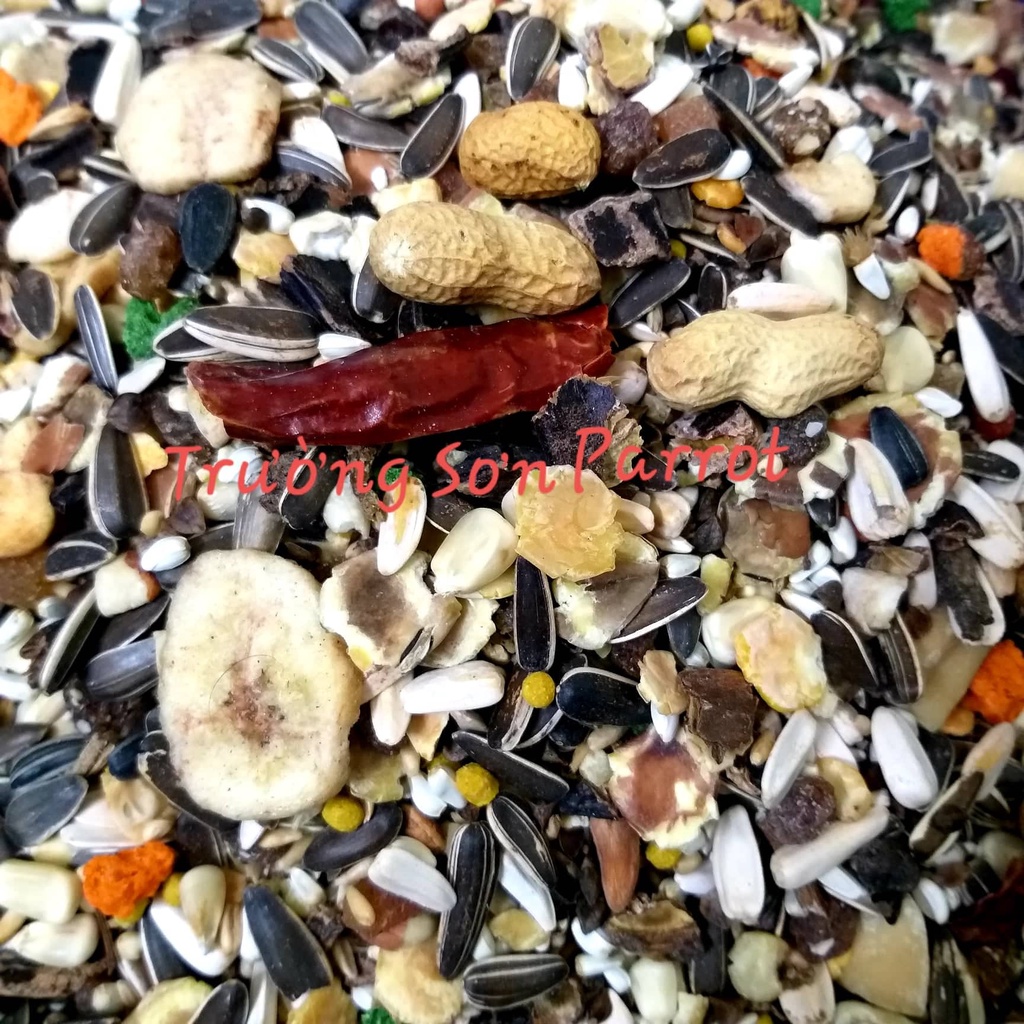 Hạt trộn hoàn chỉnh LIFE PARROTS manitoba gói nguyên 2kg dùng cho vẹt amazon, cookato và các dòng cùng size