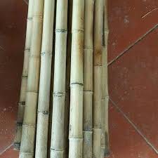 Combo 5 cây trúc trang trí làm đồ handmade, hàng rào...