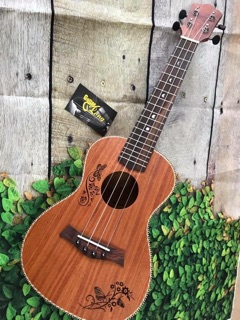 Ukulele concert