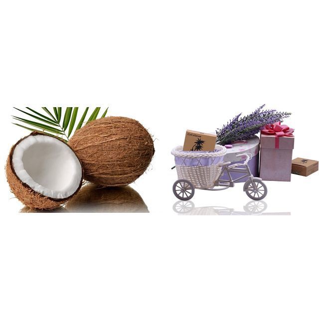 ⛔FREESHIPP⛔ Tinh dầu dừa dưỡng mi nguyên chất | BigBuy360 - bigbuy360.vn