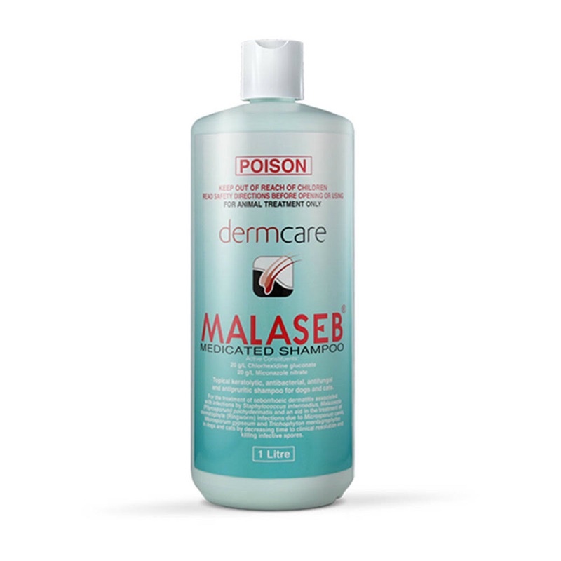 Sữa tắm trị Nấm - Viêm da chó mèo Dermcare Malaseb chai 1 Lít