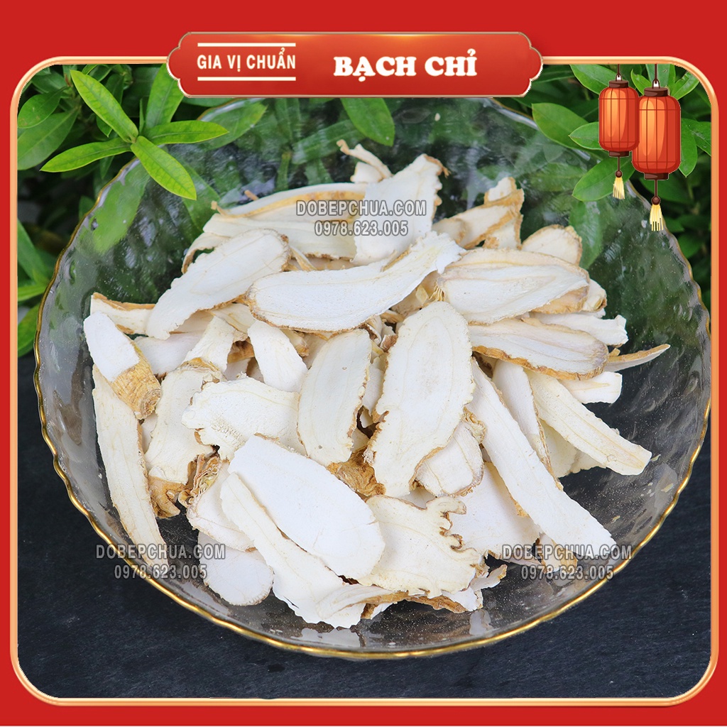 100G - BẠCH CHỈ KHÔ THÁI LÁT THƠM NGON LOẠI AA