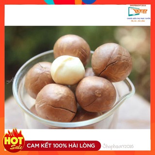 [HÀNG VIP] 500G Hạt Mắc ca Đắk Lắk - Macca ❋SIZE TO❋ Qủa Mac ca