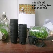 BỘ 100 CHẬU NHỰA TRỒNG LAN NUÔI CẤY MÔ