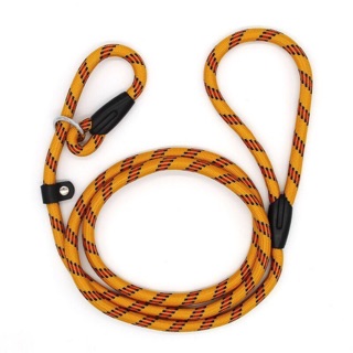 [LXPET] Dây dắt chó đi dạo bằng nylon