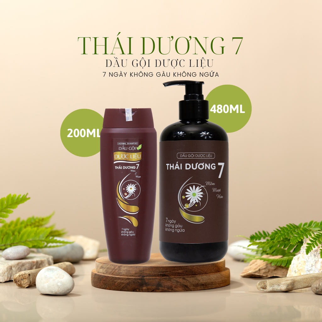 Dầu gội dược liệu Thái Dương 7 200ml / 480ml / 1100ml