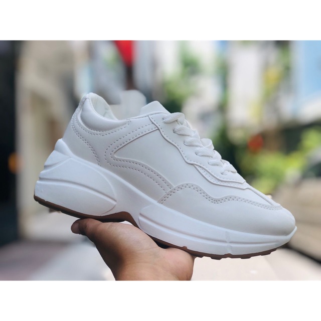 Combo 6 đôi ngocmy