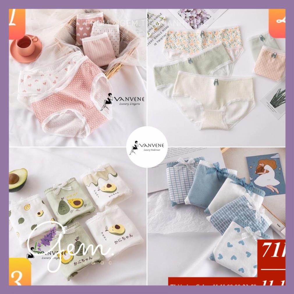 SET 5 QUẦN LÓT COTTON VANVENE