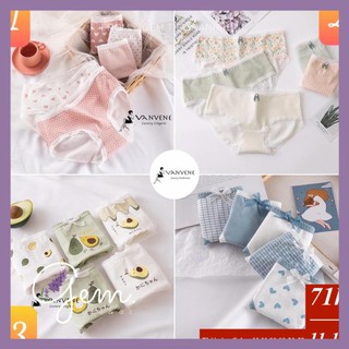 Set 5 quần lót cotton vanvene