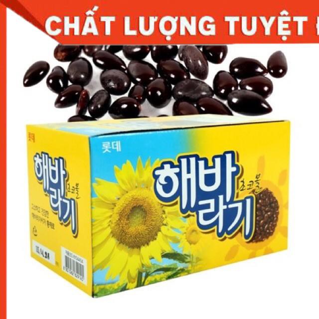 Hướng Dương Phủ Socola Hàn Quốc