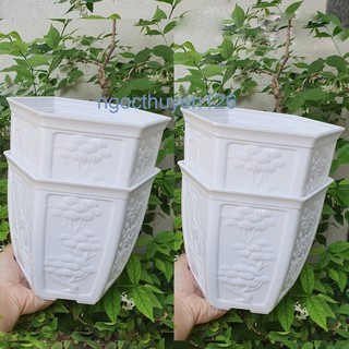 Bộ 04 chậu nhựa trồng hoa lục giác bầu 21x17cm màu trắng khắc hoa sang trọng và tinh tế