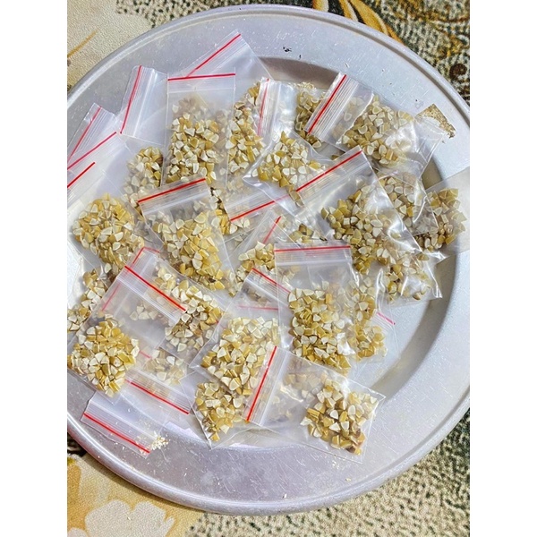 HẠT SÀNH TRẮNG