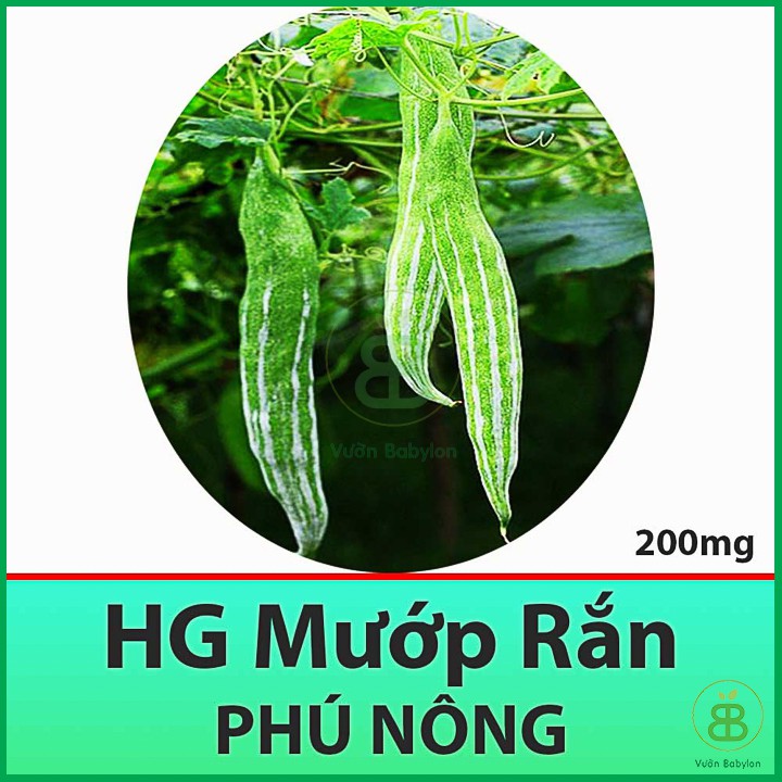 Hạt Giống Mướp Rắn 2Gr - Hạt Giống Mướp Rồng Nhật Dễ Trồng, Năng Suất Cao