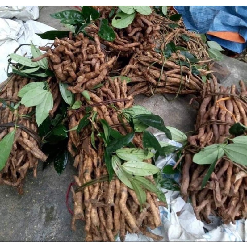 1kg Sâm xuyên đá Hà Giang