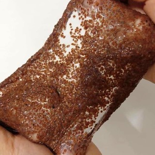 NGŨ HOA HẠT handmade