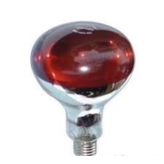 Bóng úm gà hồng ngoại Jiushuo 100w