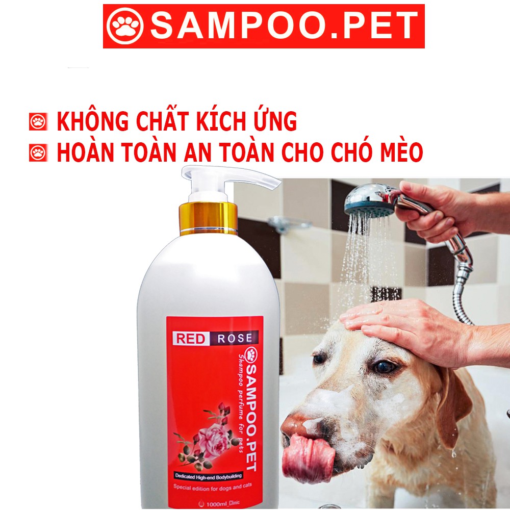 Sữa tắm chó mèo SAMPOO.PET loại sữa tắm nước hoa cho chó thơm quý phái sang trọng