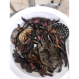 Ba khía chưa trộn nguyên con