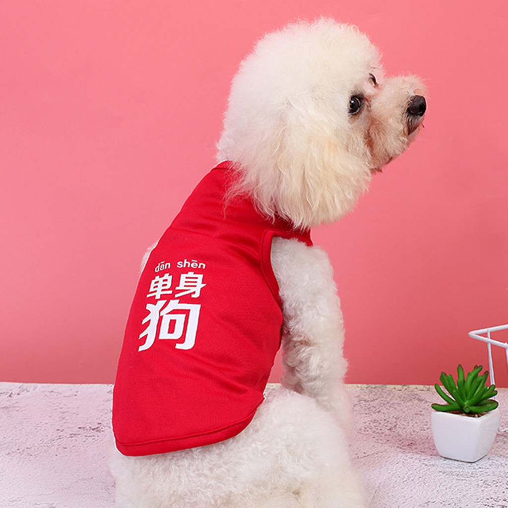 Áo thun in chữ đáng yêu dành cho thú cưng