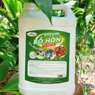 Can 5L- enzym bồ hòn quế siêu đậm đặc