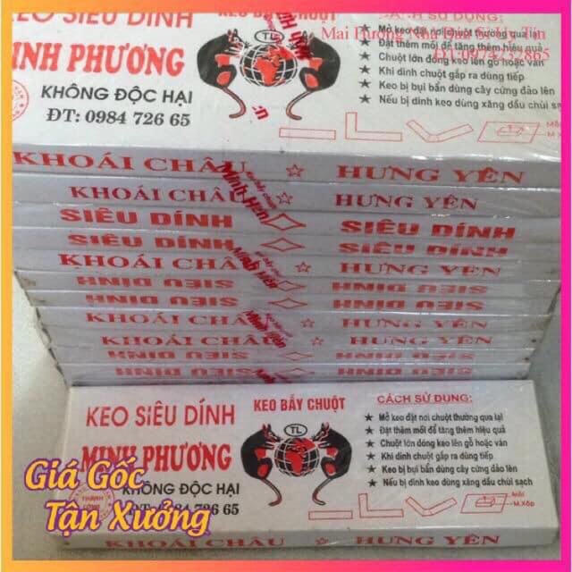 Hộp keo dính chuột