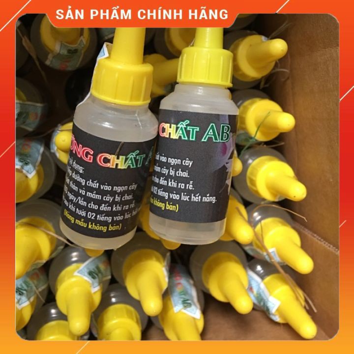 💢💢💢 Dưỡng Chất AB – Phục Hồi Cây Bị Sốc Thuốc, Không Ra Rễ, Thân Chai Lì Không Nhú Mầm 💢💢💢