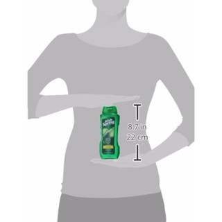 Sữa tắm irish spring Lá bả đậu 532ml