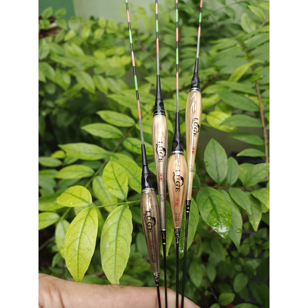 PHAO ĐIỆN CỎ LAU CÂU ĐÊM LUGE