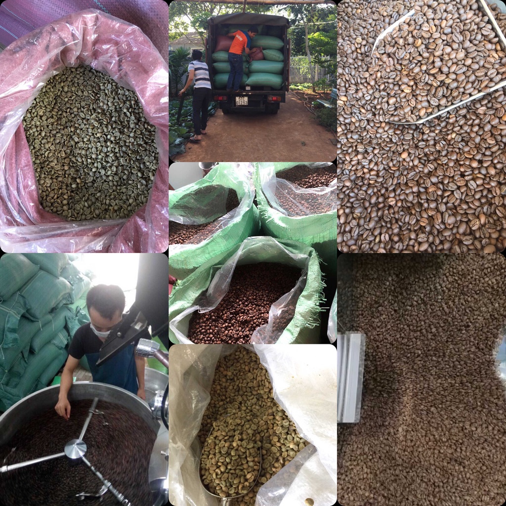 Bã cafe nguyên chất tẩy tế bào chết, chống oxy hóa, làm trắng, đẹp da