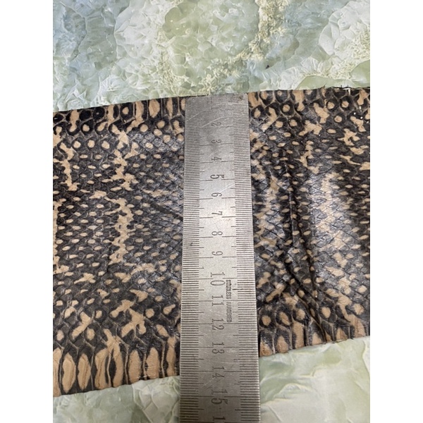 Da rắn nguyên con