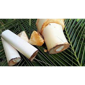 Củ hũ dừa tươi ngon