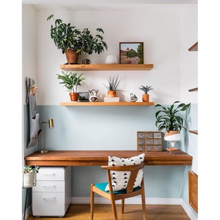 Kệ Gỗ Tự Nhiên (2 Thanh 70cm x 25cm Sơn Bóng) Trang Trí Treo Tường (DIY) - Gỗ Thông Tự Nhiên