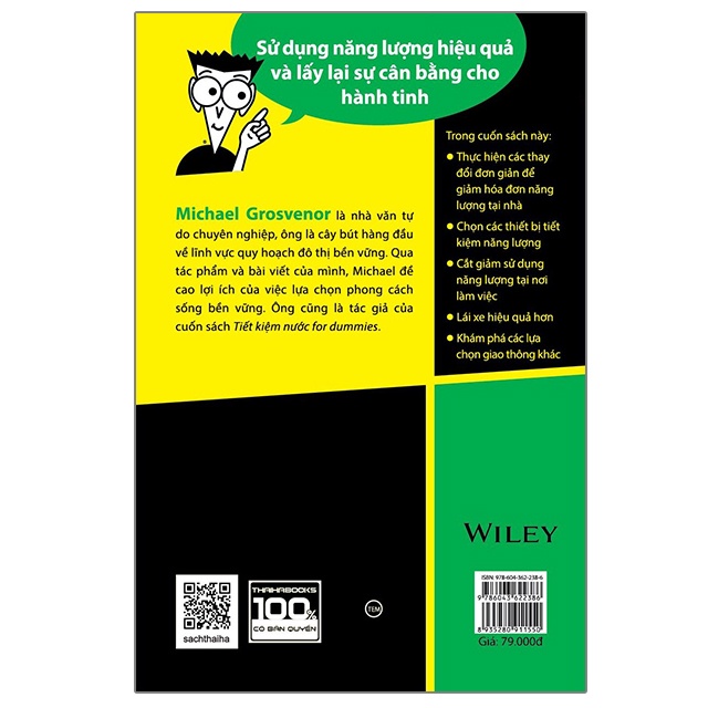 Sách - Tiết kiệm năng lượng for Dummies
