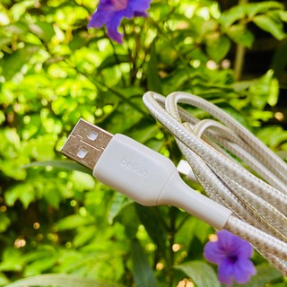 Cáp Belkin Type C To USB-A Sợi Kevlar Siêu Bền. Hỗ Trợ Sạc Nhanh.