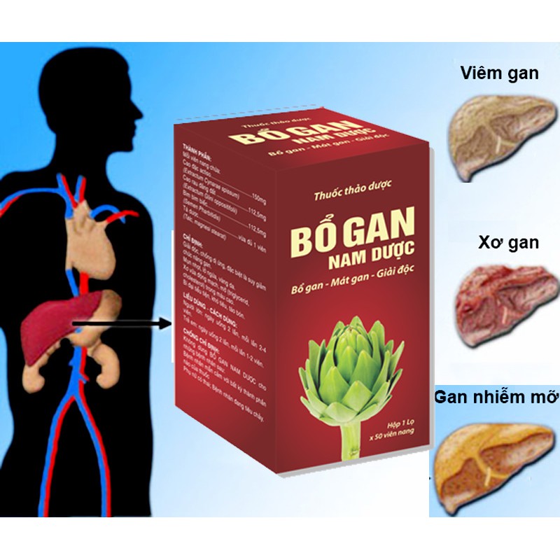 Bổ Gan Nam Dược lọ 50 viên