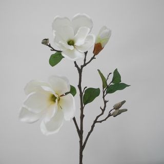Hoa lụa mộc lan