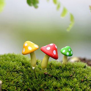 Bộ ba cây nấm lùn - Dùng cho trang trí cây cảnh mini hay phụ kiện tiểu cảnh