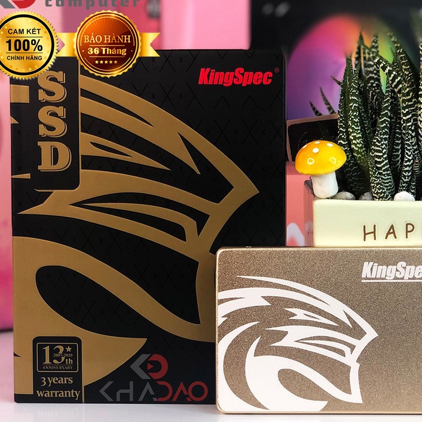 Ổ Cứng SSD KINGSPEC 120GB 240GB - Hàng chính hãng Mai Hoàng