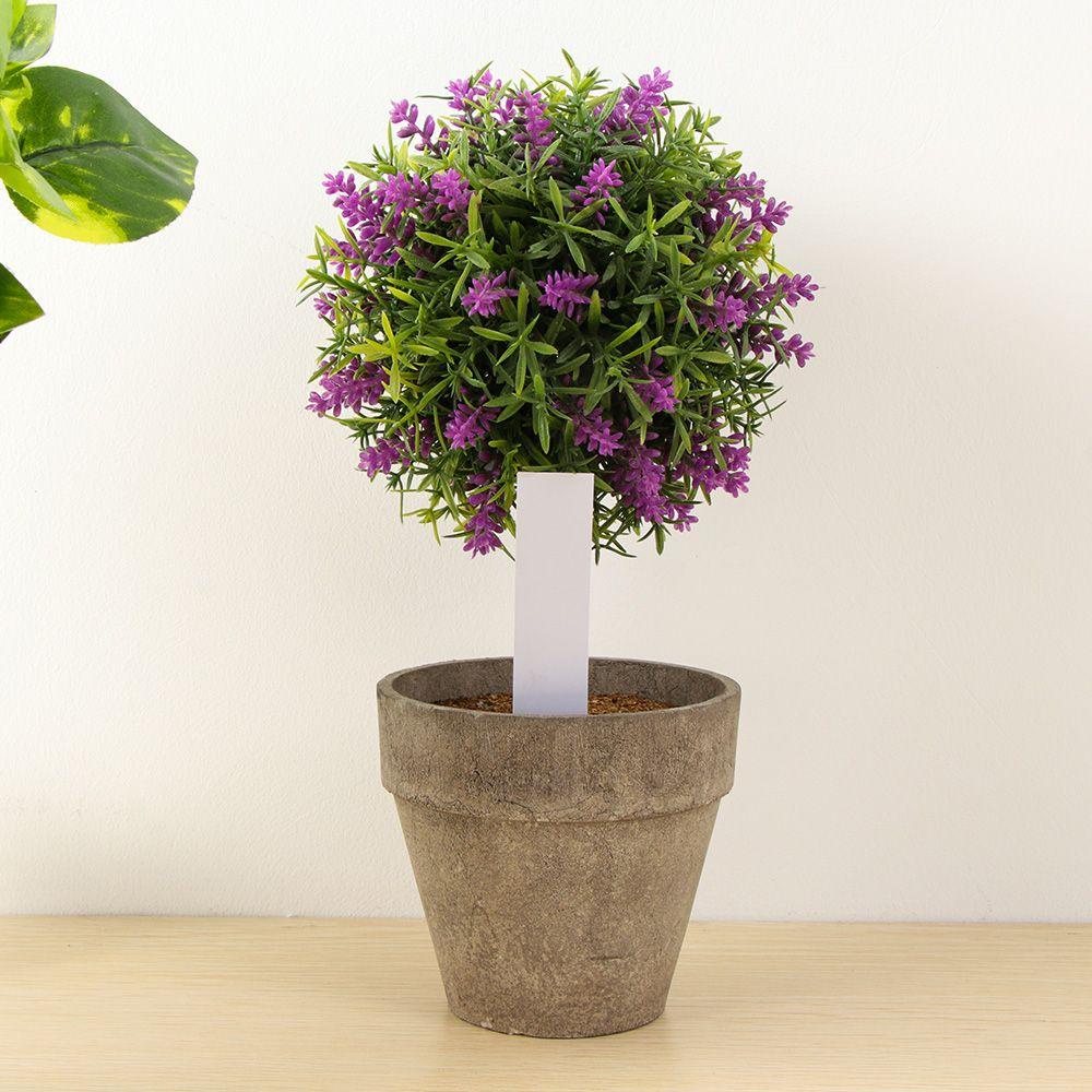 HECCEH Set 100 Thẻ Đánh Dấu Gieo Hạt Trồng Cây Chống Thấm Nước Có Thể Tá