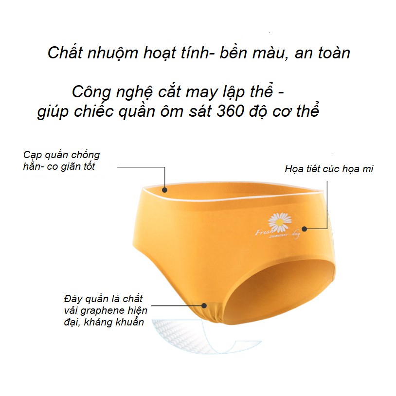 Quần Lót Cotton Kháng Khuẩn Không Đường May Hoa Cúc P294