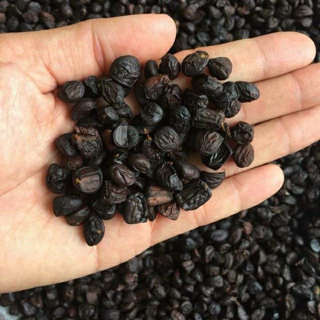 Hạt dổi siêu thơm (dùng thử 5 hạt) + Tặng hạt mác khén